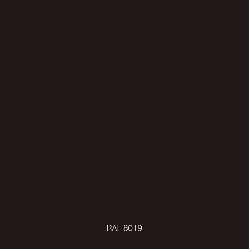 RAL 8019