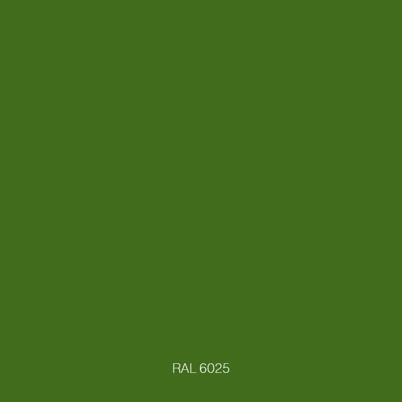 RAL 6025