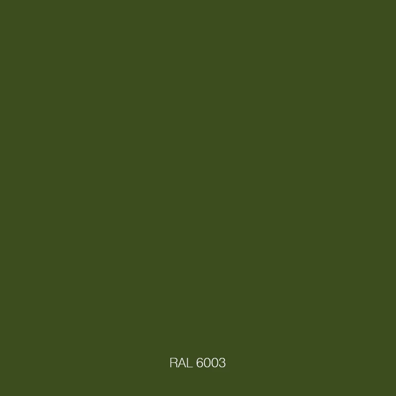 RAL 6003
